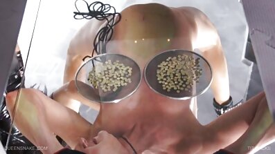 రొమ్ములు